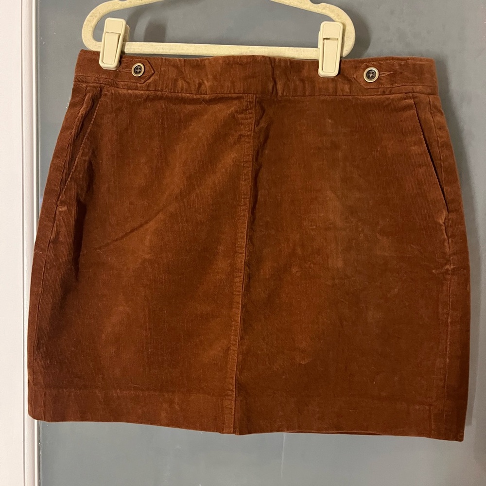 Banana Republic Rust Mini Skirt